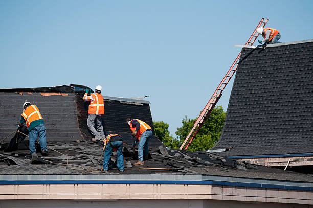 Comprehensive roof restoration in Brisbane North