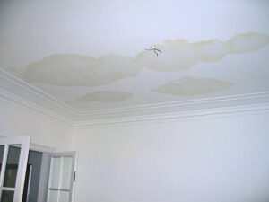 Roof Leaking-img
